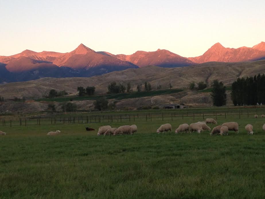 Mountain Valley Farmstead